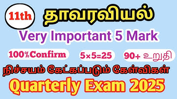 11th Botany |Quarterly Exam 2025|Most Important|2,3,5 Mark|Question|Paper|Tamil medium