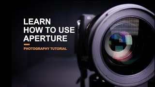 Learn how to use Aperture - Photography Tutorial