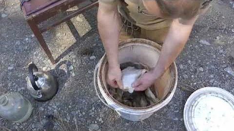 Brain Tanning a Deer Hide Part 2 of 6