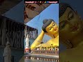 #shorts | Bhagwan Buddha | बुद्धं शरणं गच्छामि 🙏| Tyag Murti Tu Shant Chitt Tu |#shortsfeed #comment