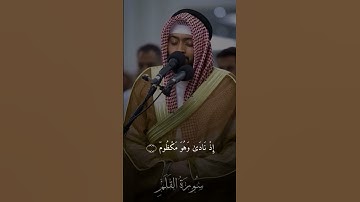 أحمد النفيس | سورة القلم