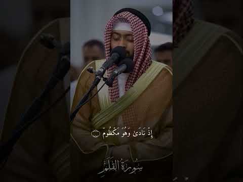 أحمد النفيس سورة القلم 