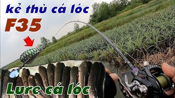 Câu Lure Cá Lóc ✅ Thử Thách Một Ngày Câu Cá Lóc Bằng Nhái Hơi F35 Và Cái Kết | Tâm Râu Vlog #285