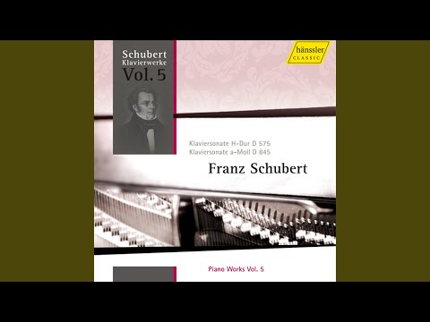 Piano Sonata No. 16 In A Minor, Op. 42, D. 845: II. Andante Poco Moto