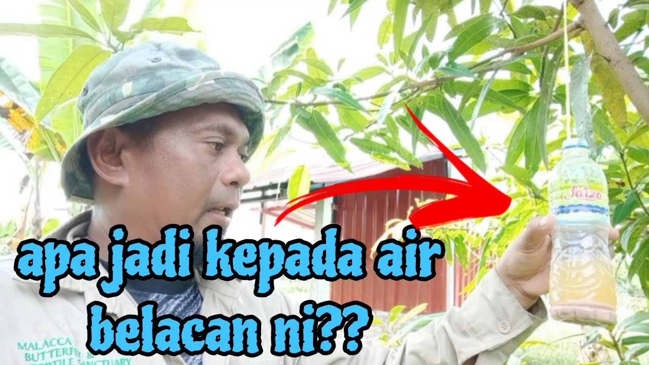 [Episod1214] kisah ayam, air belacan dan kera. apa jadi kepada depa ni..?