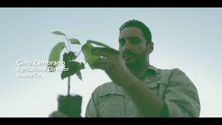 Beens & Co - smarter and greener propagation of cocoa beens