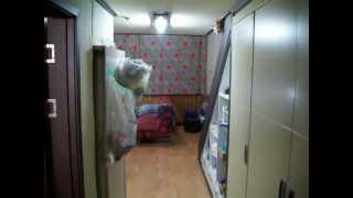 ansan apt