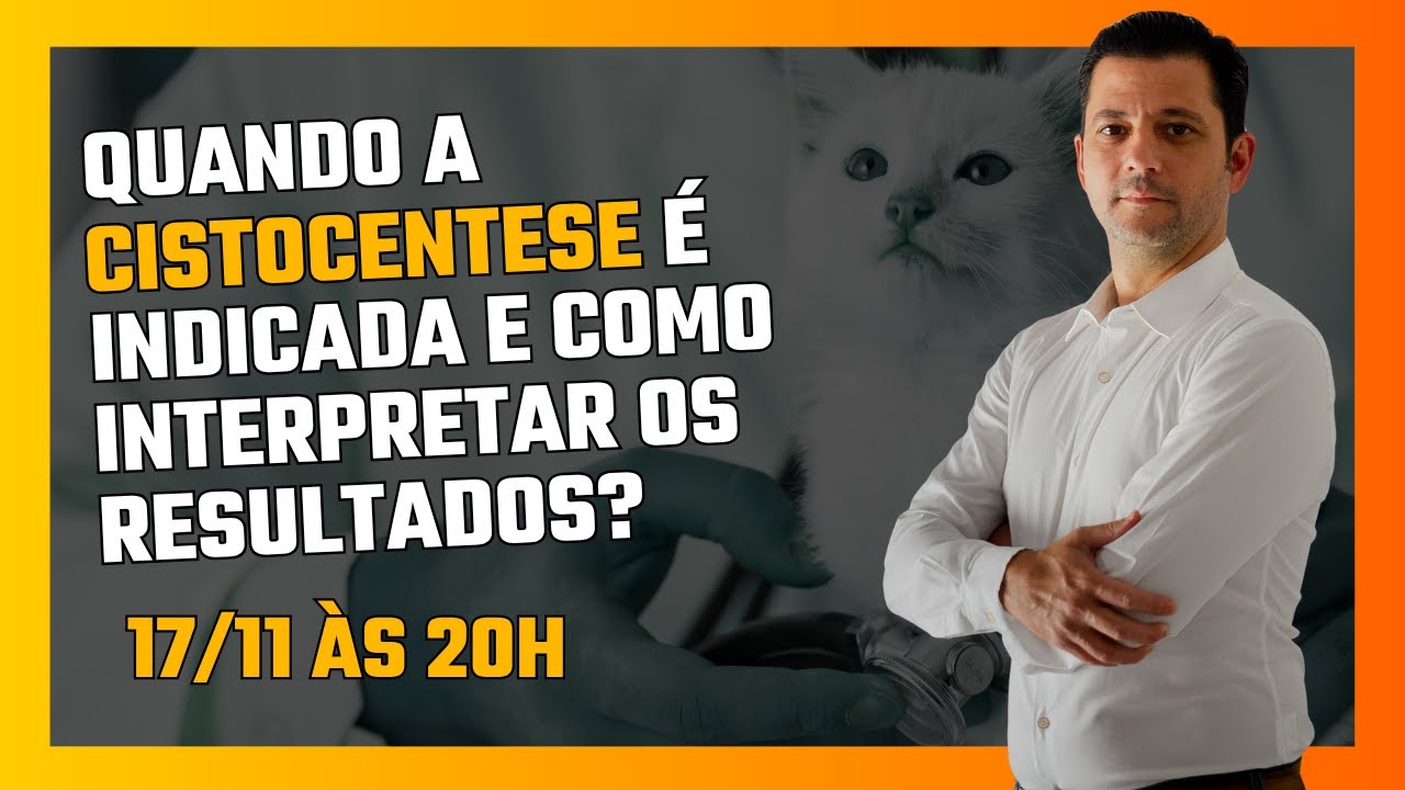 Quando a cistocentese é indicada e como interpretar os resultados ...