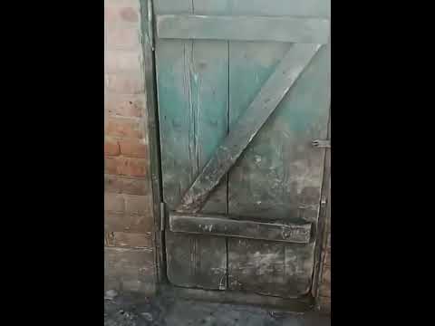 Тайна символа  Z раскрыта! Zомболен найден