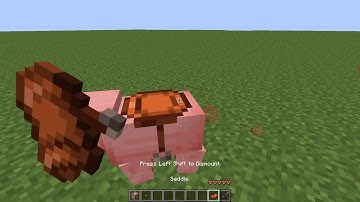 summon tutorial | how to summon mobs with custom name in minecraft 1.16