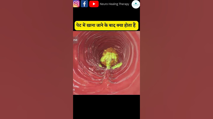 How food travels in the body #shorts #shortvideo