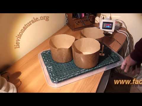 Cella di lievitazione fai da te. - YouTube