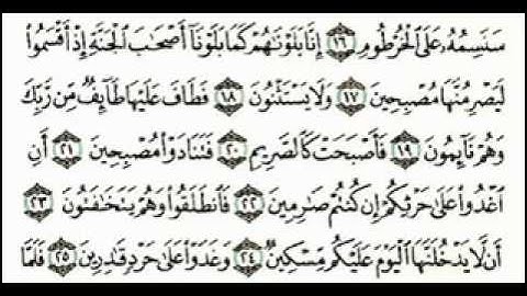 سورة القلم - الشيخ شير زاد طاهر.