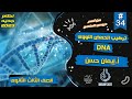 #34 | شرح تركيب الحمض النووى DNA | احياء تالته ثانوى 2023 | إيمان حسن 🧬💯