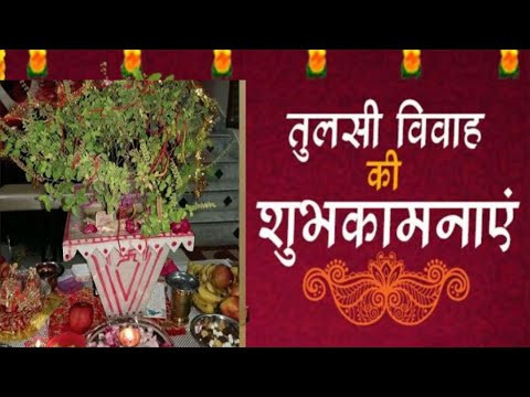 Tulsi vivah :tulsi vivah whatsapp status 2021| happy tulsi vivah status| तुलसी विवाह स्टेटस|तुलसी