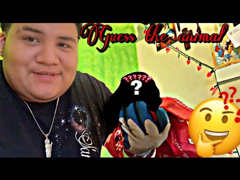 Exotic animal review🤔 - YouTube