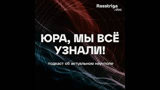 Тревожная нация. Откуда берется тревога и каковы ее последствия?