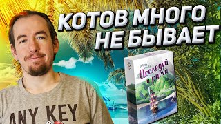 Обзор игры Остров кошек: исследуй и рисуй