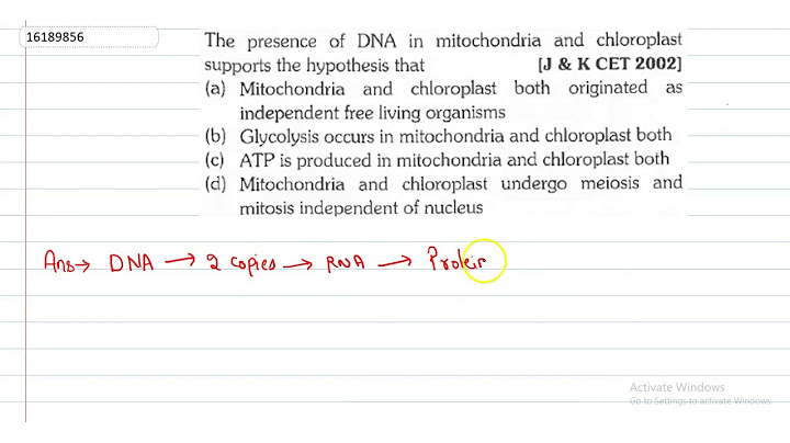 Which of the following supports the hypothesis that chloroplasts originated from cyanobacteria?