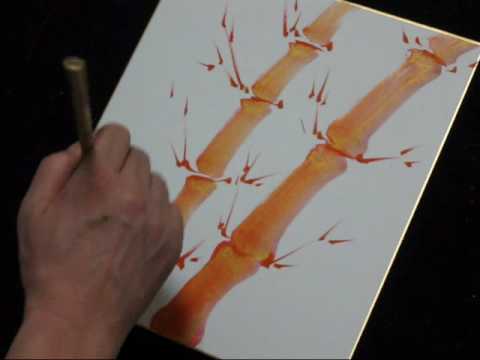 開運招福 朱竹を描いてみましょう Drawings of Lucky Bamboo