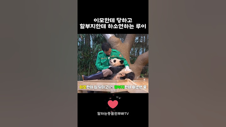 할부지 무릎에서 하소연중 ㅎ