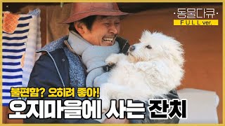 [풀버전] 물도 안 나오는 흙집에서 사는 자유로운 영혼의 자연인과 강아지 l 동물극장 단짝 EP5 l KBS 220218 방송