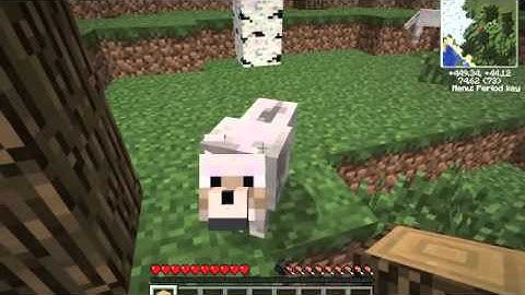 Minecraft/Tekkit: Episode 1-A Grand New World