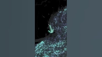 NEARC 2025 Northeast Arc Users Group