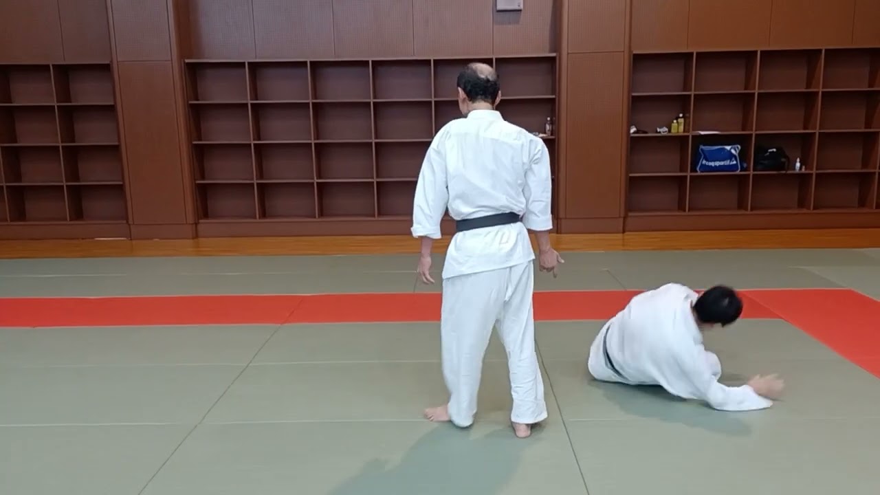 Budo training in Aikido　No 148 Kubinage 首投