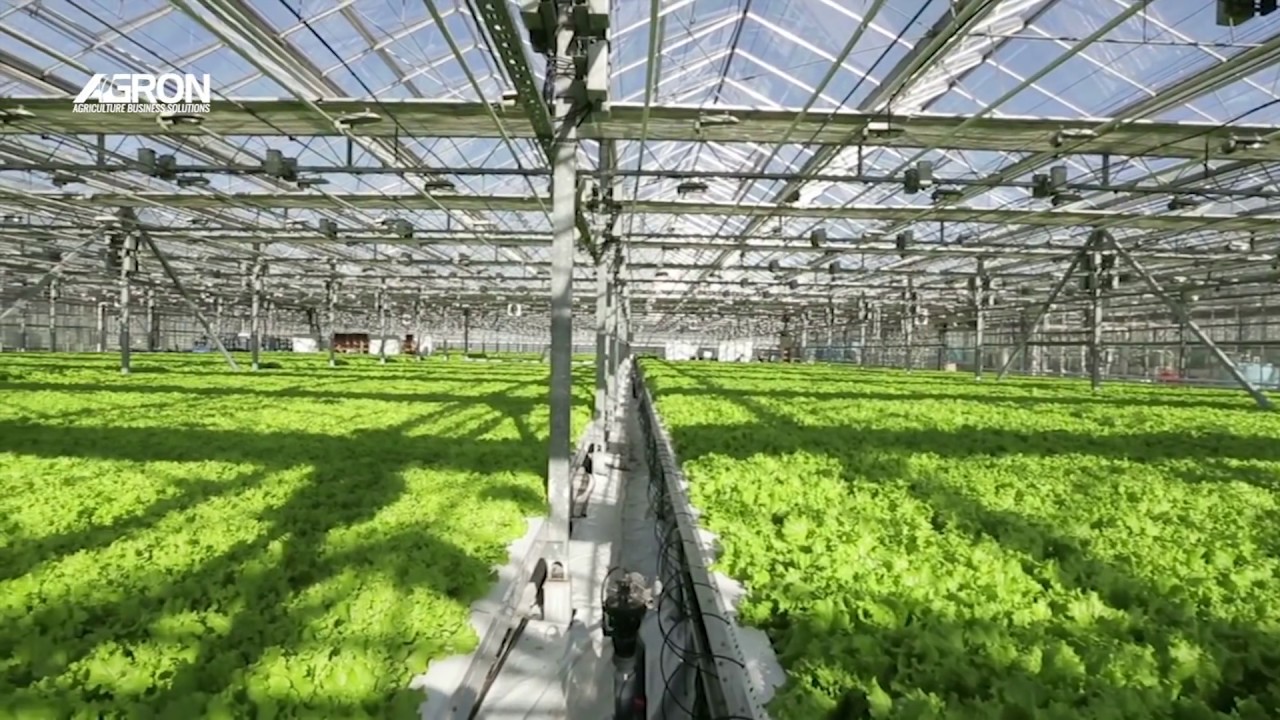 Wholesale Commercial Growing Equipment YouTube