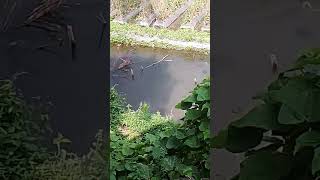 Alam Indah Nya Suasana Alam Yang Indah Di Garut Jawa Barat