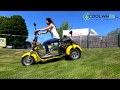 Scooter lectrique citycoco 3 roues  icoolwheelcom 