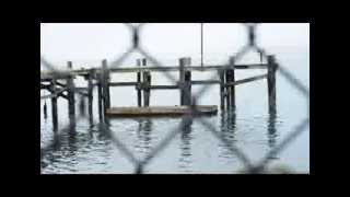 Saving the Endangered White Abalone: Captive Breeding (1 of 3)