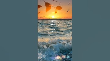 من روائع التلاوة ( وجاء إخوة يوسف فدخلوا عليه فعرفهم وهم له منكرون ) #قرآن_كريم_راحة#اكسبلور#explore