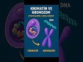 Kromatin ve Kromozom #Kromatin #Kromozom #Gen #Genİfadesi #BiDunyaBiyoloji #BektasTepe