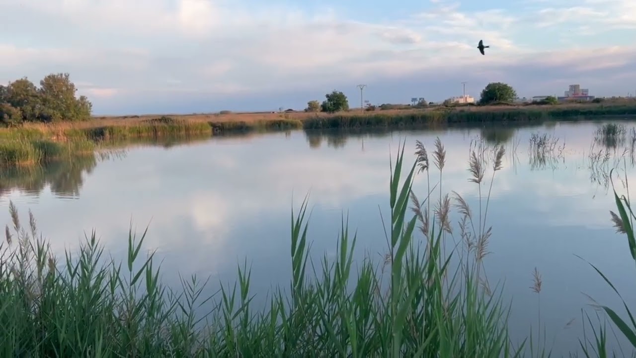 Paisajes Increíbles para Relajarse 