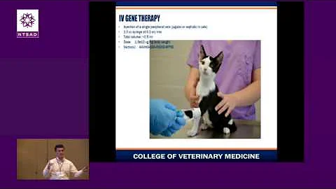 GM1 Symposium - Martin - Gene Therapy