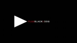 Shamhain    Black Dog    junto a Plan V   1998  participa Cerati