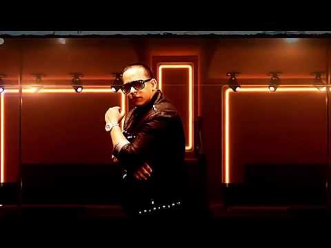 DADDY YANKEE PERROS