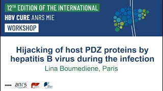 Hijacking Of Host Pdz Proteins By Hepais B Virus During The Infection - Lina Boumediene