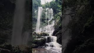 Peaceful Waterfall Sounds ☁️🌿#waterfall #nature #forest #cinematic #travel #naturelovers #shorts