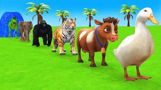 Long Slide Game With Cow Elephant Gorilla Hippopotamus Tiger 3d Animal Game Funny 3d Animals screenshot 3