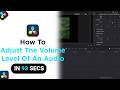 How to Adjust The Volume Level Of An Audio on Davinci Resolve [NEW]