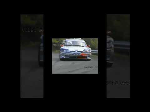 Peugeot 306-106 kit car by Video Si