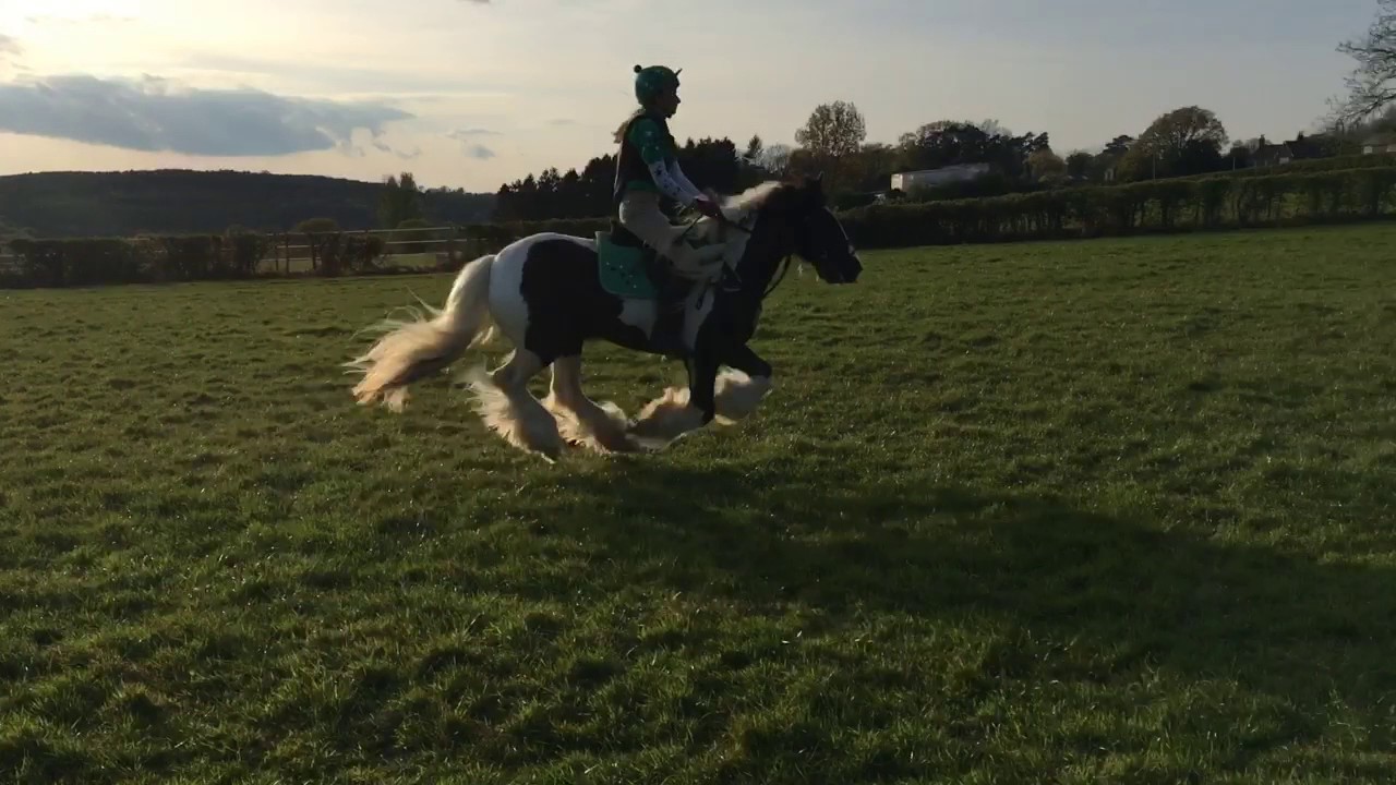 Xc Home Farm Equine Centre YouTube