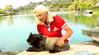 Linda Tellington-Jones demonstrates ear work \& info about CA dog trainings