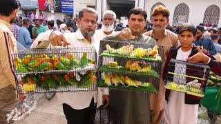 Birds Market Lalukhet Sunday Video Latest Update 18-12-22 By Sohail Ahmed TV in Urdu\/Hindi