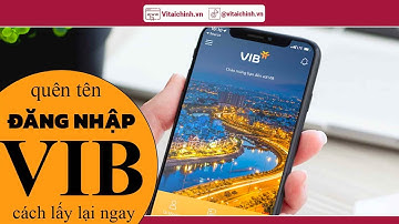 Quên tên đăng nhập VIB & 3 Cách lấy lại được ngay 🔸Vitaichinh.vn🔸