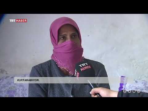 Afrin’den YPG/PKK Zulmünden Kaçan Köylüler Yaşadıklarını Anlattı