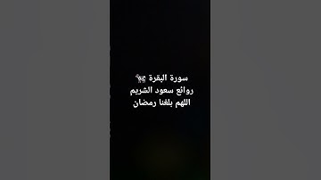 #القرآن_الكريم #راحة_نفسية #تلاوات #لايك #صلوا_على_النبي #رمضان
